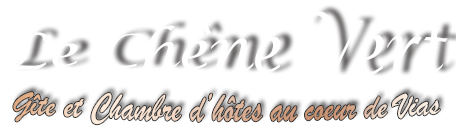 Site Title